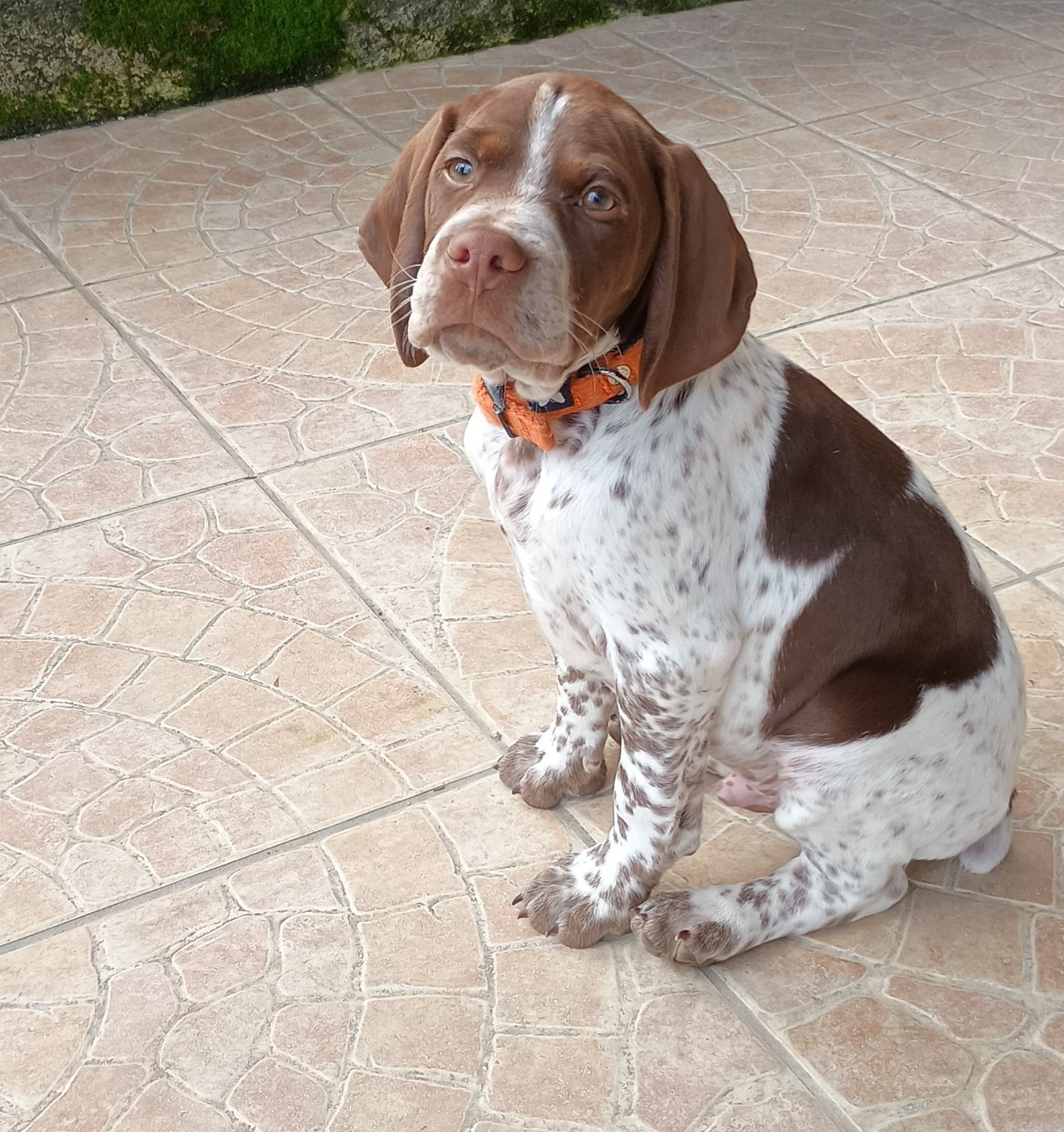 Ayoen Des Sentiers De La Douyne